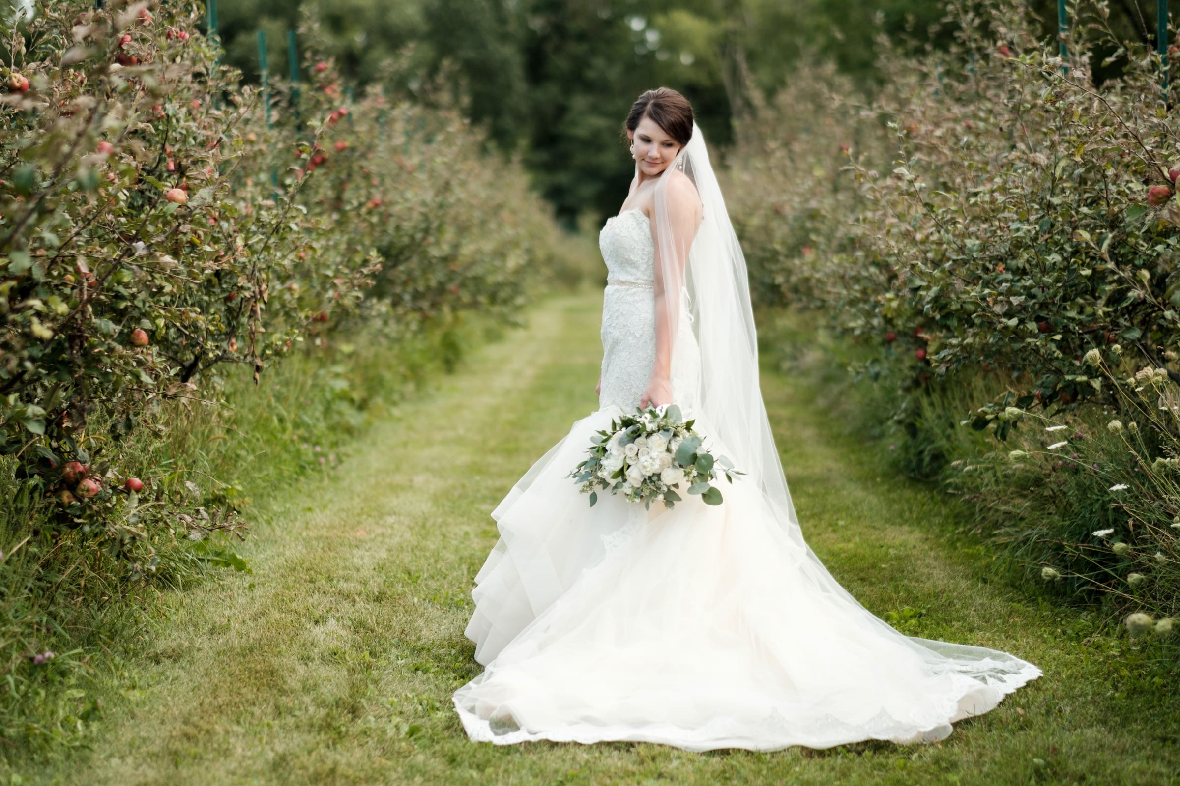 Sarah &amp; Jeff's Pavilion at Orchard Ridge Farms Wedding