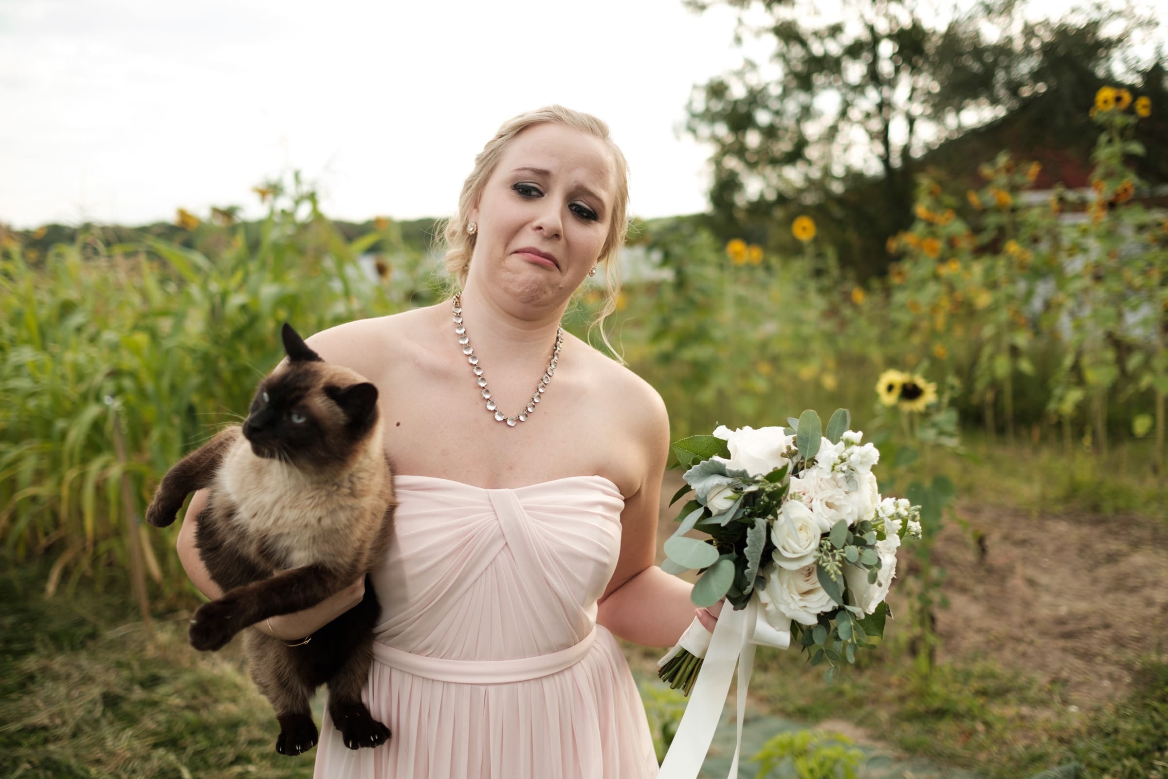 Sarah &amp; Jeff's Pavilion at Orchard Ridge Farms Wedding