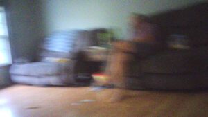 PICT0120